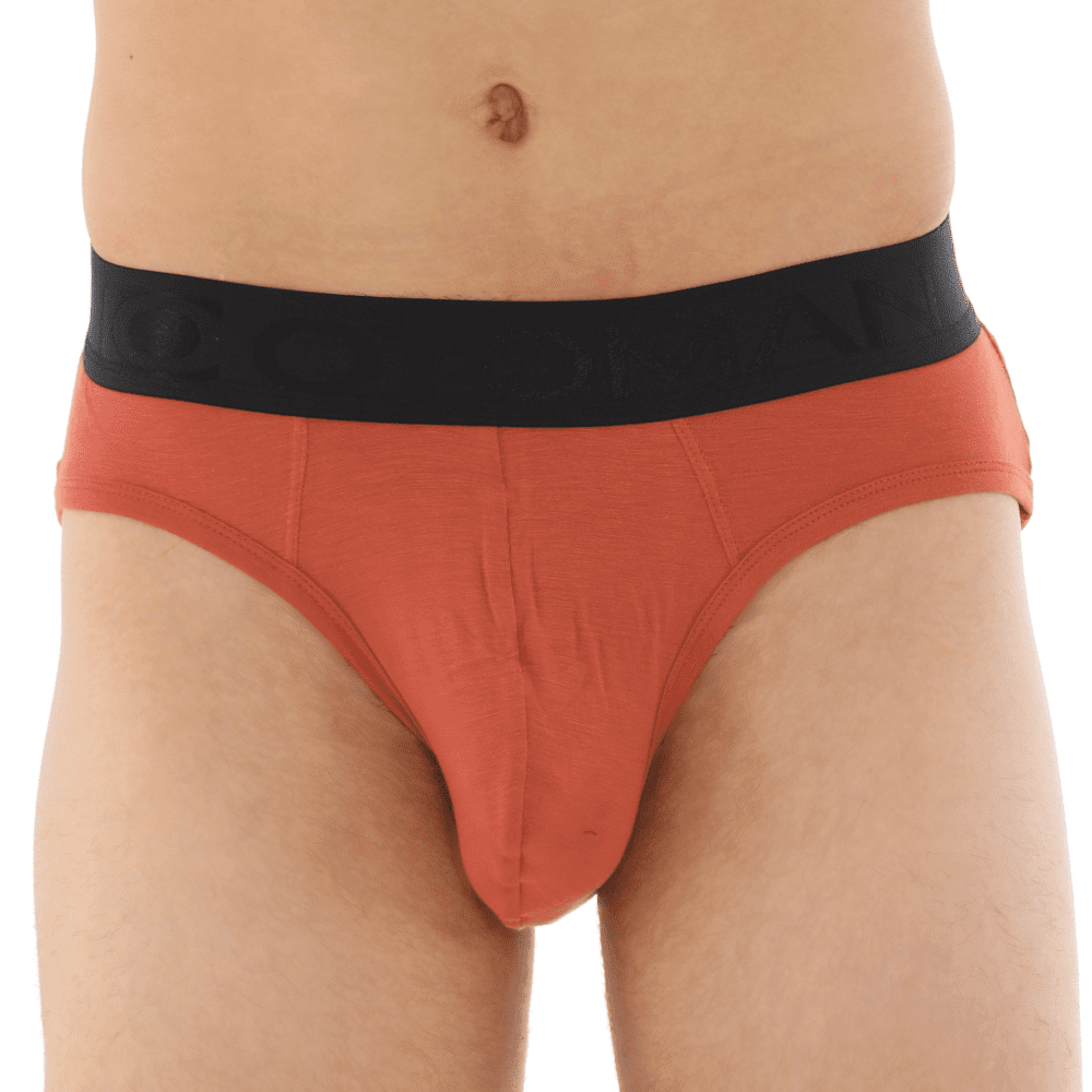 men's Briefs